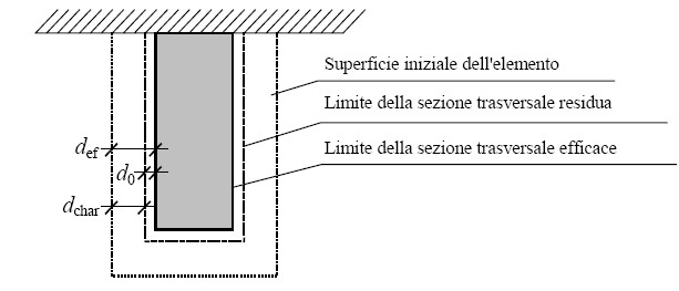 Sezione elemento ligneo parzialmente carbonizzato Sezione elemento ligneo parzialmente carbonizzato